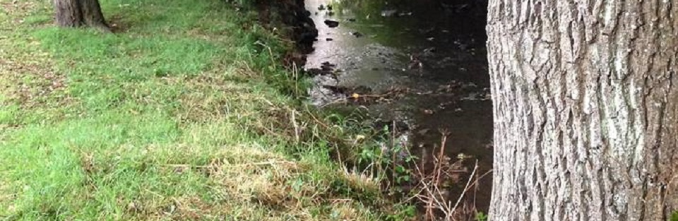 The river in Autumn