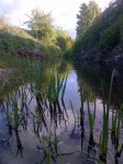 lower cale downstream