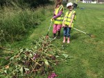 Balsam bashing group having pulled out large chunks of the stuff.