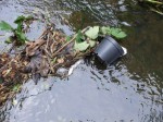 We also found some garden waste... perhaps people believe that, as plant growth, the river wildlife will make use of it.