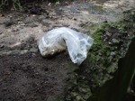 Some people are responsible enough to collect and bag their dog's mess, but then throw the bag in the river!