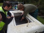 Fish in the storage tank