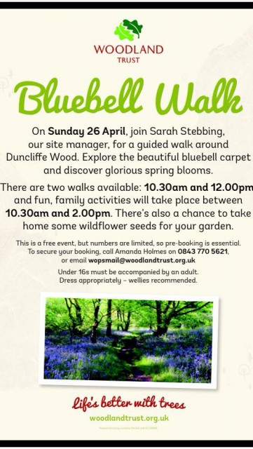 duncliffe bluebell walk
